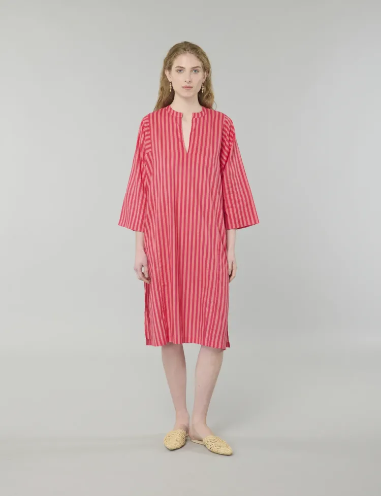 Zariya Dress