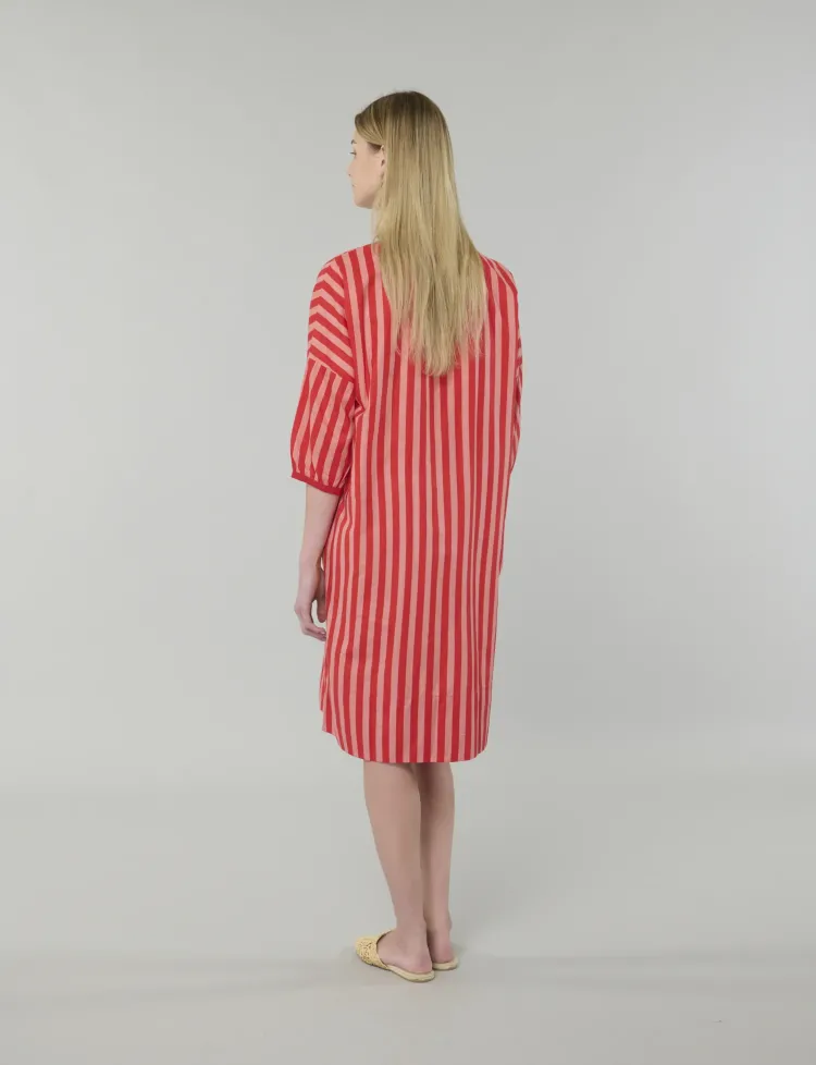 Rani Dress