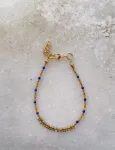 Desert anklet