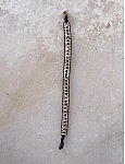 Shiva Silver Barcelet Shiva Silver Barcelet