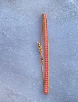 Anvi Bracelet Anvi Bracelet